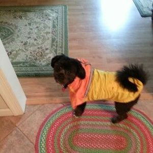 Meet your Posher, Brenda